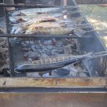 Fischerhock_2018_3